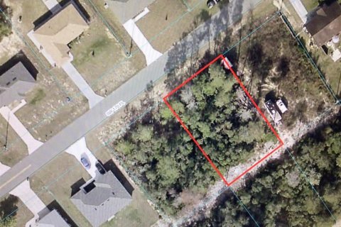 Terreno en venta en Ocala, Florida № 1379796 - foto 1