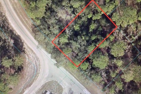 Terreno en venta en Ocala, Florida № 1297673 - foto 1