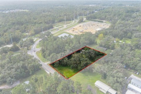 Terreno en venta en Brooksville, Florida № 1432087 - foto 1