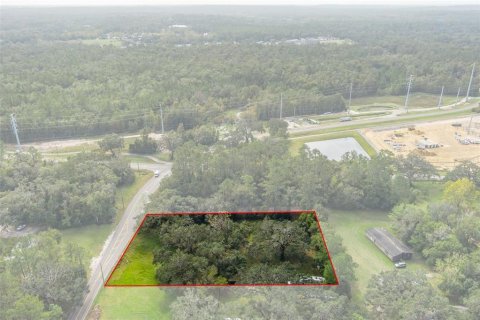 Terreno en venta en Brooksville, Florida № 1432087 - foto 3