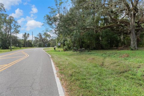 Terreno en venta en Brooksville, Florida № 1432087 - foto 24