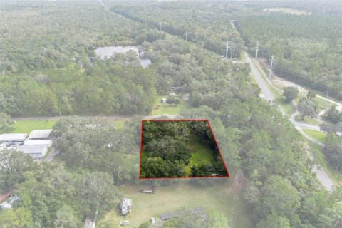 Terreno en venta en Brooksville, Florida № 1432087 - foto 11