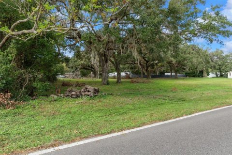 Terreno en venta en Brooksville, Florida № 1432087 - foto 21