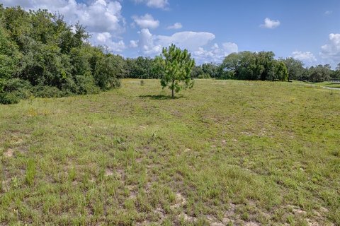 Land in Tavares, Florida № 1303387 - photo 29