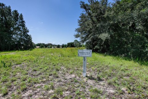 Terrain à vendre à Tavares, Floride № 1303387 - photo 7