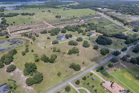 Land in Tavares, Florida № 1303387 - photo 26