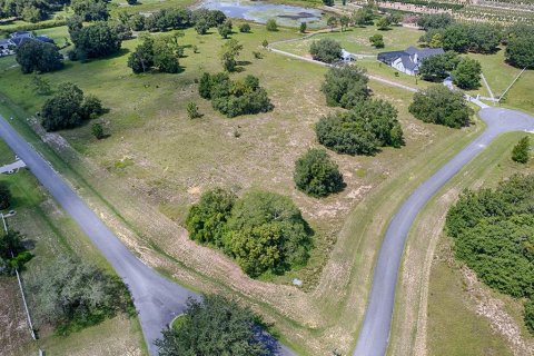 Land in Tavares, Florida № 1303387 - photo 13