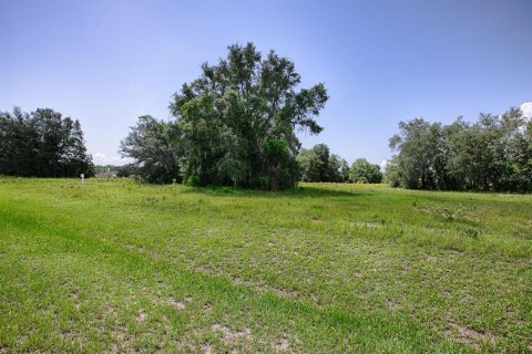 Land in Tavares, Florida № 1303387 - photo 9