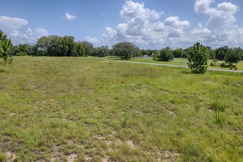 Land in Tavares, Florida № 1303387 - photo 30