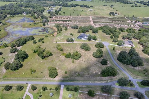 Land in Tavares, Florida № 1303387 - photo 24