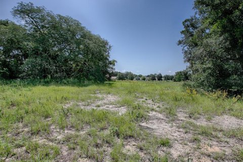 Terrain à vendre à Tavares, Floride № 1303387 - photo 6