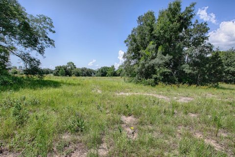 Terrain à vendre à Tavares, Floride № 1303387 - photo 5