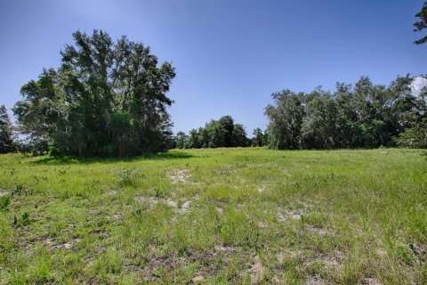 Terrain à vendre à Tavares, Floride № 1303387 - photo 8