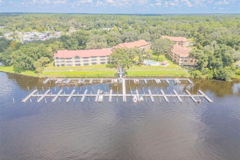 Copropriété à vendre à Welaka, Floride: 2 chambres, 108.51 m2 № 1379200 - photo 1