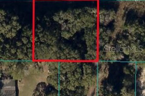 Land in Ocala, Florida № 1397863 - photo 1