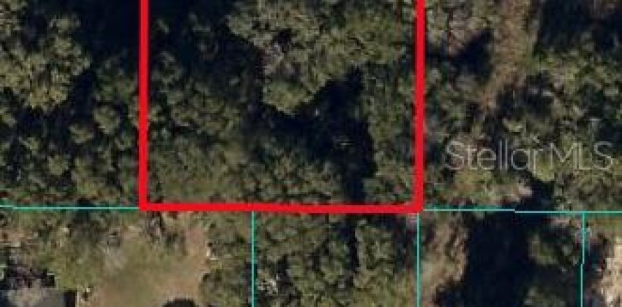 Land in Ocala, Florida № 1397863