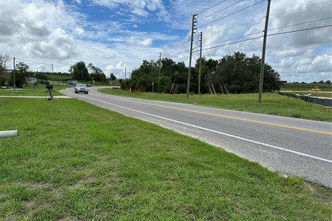 Land in Apopka, Florida № 1295441 - photo 7