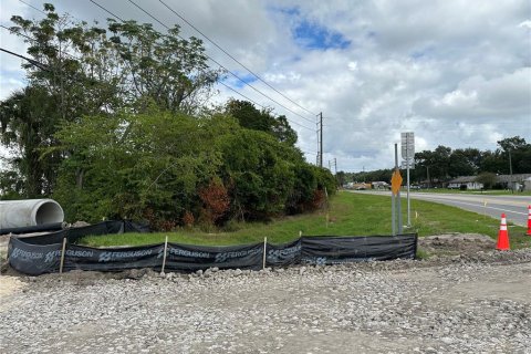 Terrain à vendre à Apopka, Floride № 1295441 - photo 6