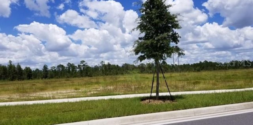 Land in Orlando, Florida № 1082187