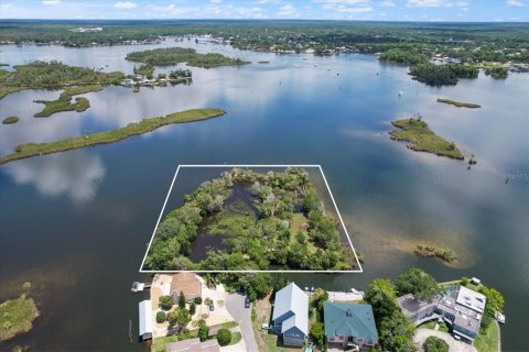 Land in Crystal River, Florida № 1335591 - photo 1