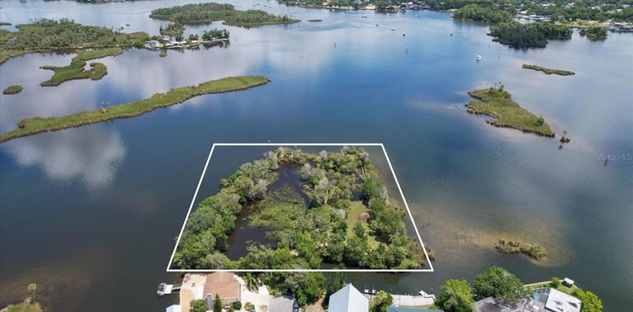 Land in Crystal River, Florida № 1335591