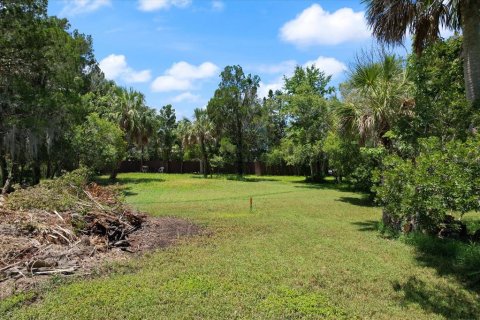 Terreno en venta en Crystal River, Florida № 1335591 - foto 16