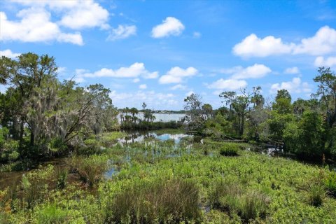 Land in Crystal River, Florida № 1335591 - photo 11