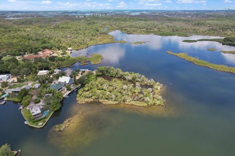 Land in Crystal River, Florida № 1335591 - photo 7