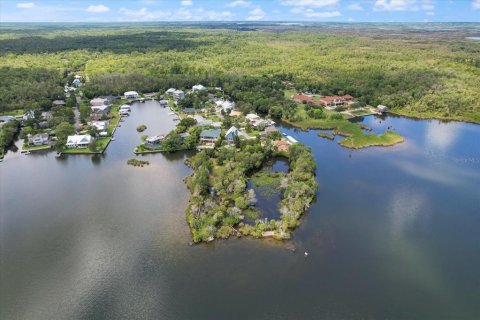 Купить земельный участок в Кристал-Ривер, Флорида № 1335591 - фото 3