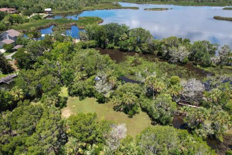 Land in Crystal River, Florida № 1335591 - photo 21