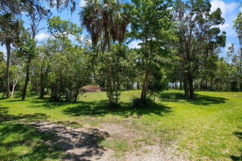 Land in Crystal River, Florida № 1335591 - photo 19