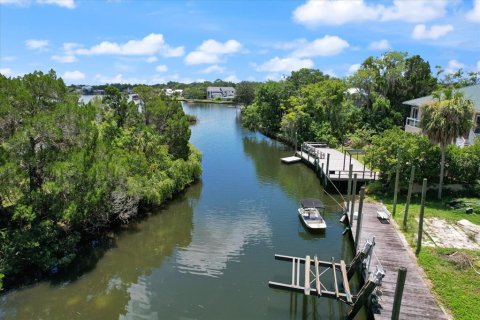 Land in Crystal River, Florida № 1335591 - photo 28