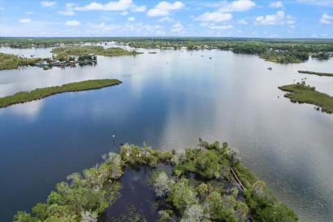 Land in Crystal River, Florida № 1335591 - photo 2