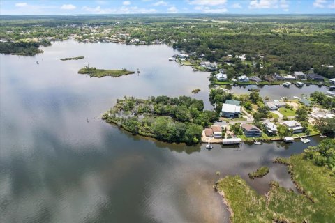 Land in Crystal River, Florida № 1335591 - photo 8