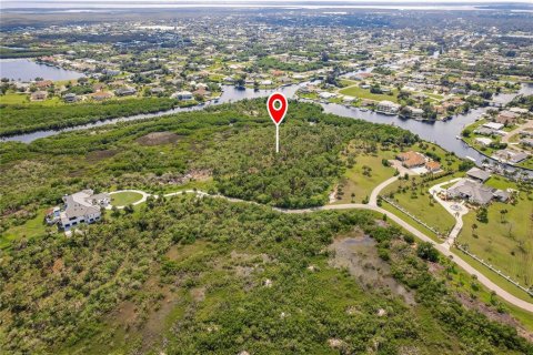 Terreno en venta en Port Charlotte, Florida № 1376241 - foto 9