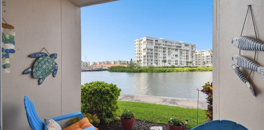 Condo in South Pasadena, Florida, 1 bedroom  № 1352491