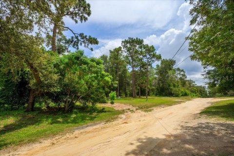 Terreno en venta en Apopka, Florida № 1403434 - foto 4