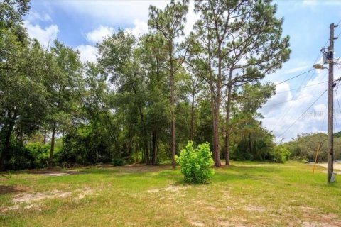 Terreno en venta en Apopka, Florida № 1403434 - foto 3