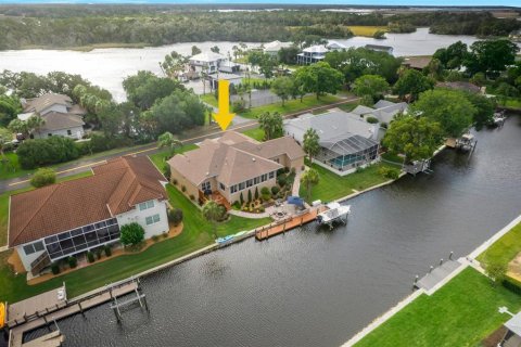 Casa en venta en Homosassa, Florida, 3 dormitorios, 304.81 m2 № 1400562 - foto 6