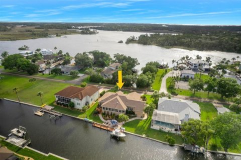 Casa en venta en Homosassa, Florida, 3 dormitorios, 304.81 m2 № 1400562 - foto 7