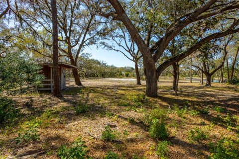 Terreno en venta en New Port Richey, Florida № 1034361 - foto 25