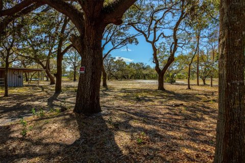 Terreno en venta en New Port Richey, Florida № 1034361 - foto 26