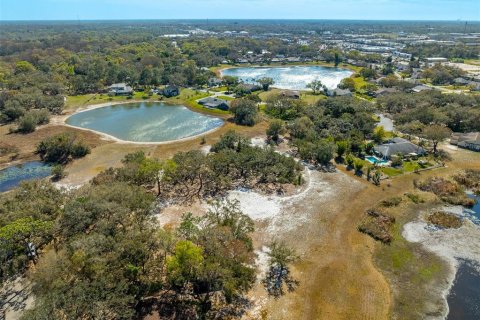 Land in New Port Richey, Florida № 1034361 - photo 16