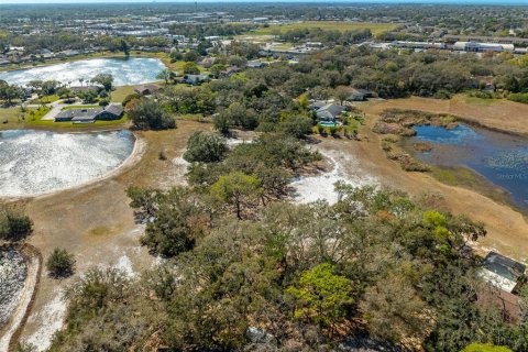 Land in New Port Richey, Florida № 1034361 - photo 21