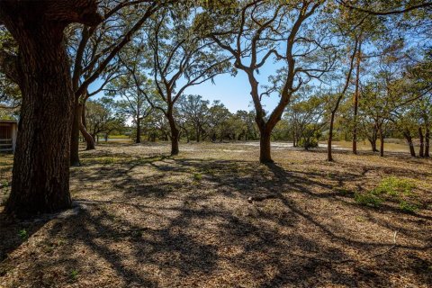 Land in New Port Richey, Florida № 1034361 - photo 29