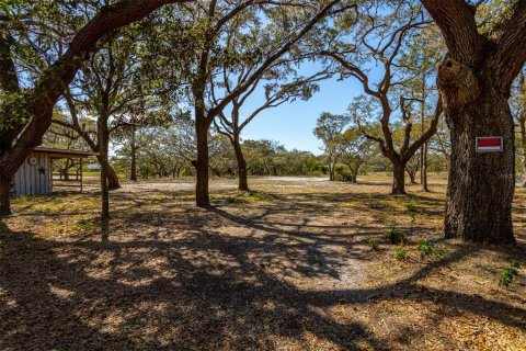 Land in New Port Richey, Florida № 1034361 - photo 24