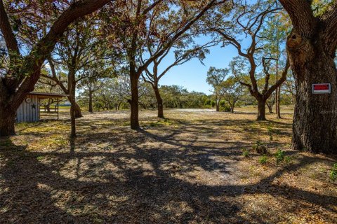 Land in New Port Richey, Florida № 1034361 - photo 27