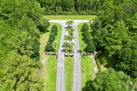 Terreno en venta en Williston, Florida № 1354911 - foto 5