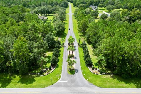 Terreno en venta en Williston, Florida № 1354911 - foto 4