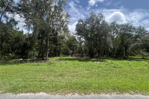 Land in Williston, Florida № 1354911 - photo 14